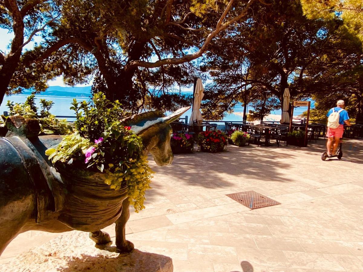 Zlatni Rat Szálloda 4*